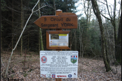 Der Sergeant York Trail