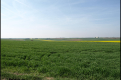 Höhe 110 Fricourt