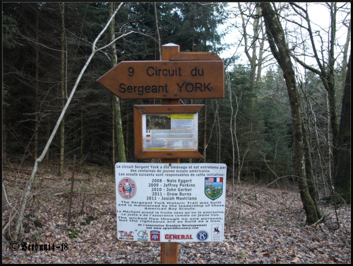 Der Sergeant York Trail