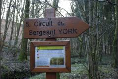 Der Sergeant York Trail