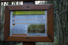 Der Sergeant York Trail