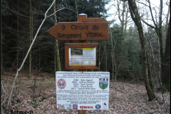 Der Sergeant York Trail